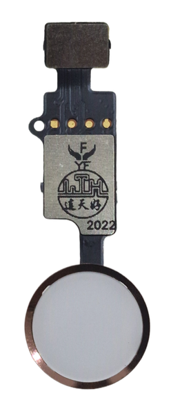 iPhone 7/7+/8/8+/SE 2020/SE 2022 Kotin&auml;pp&auml;in - Valkoinen / Kulta